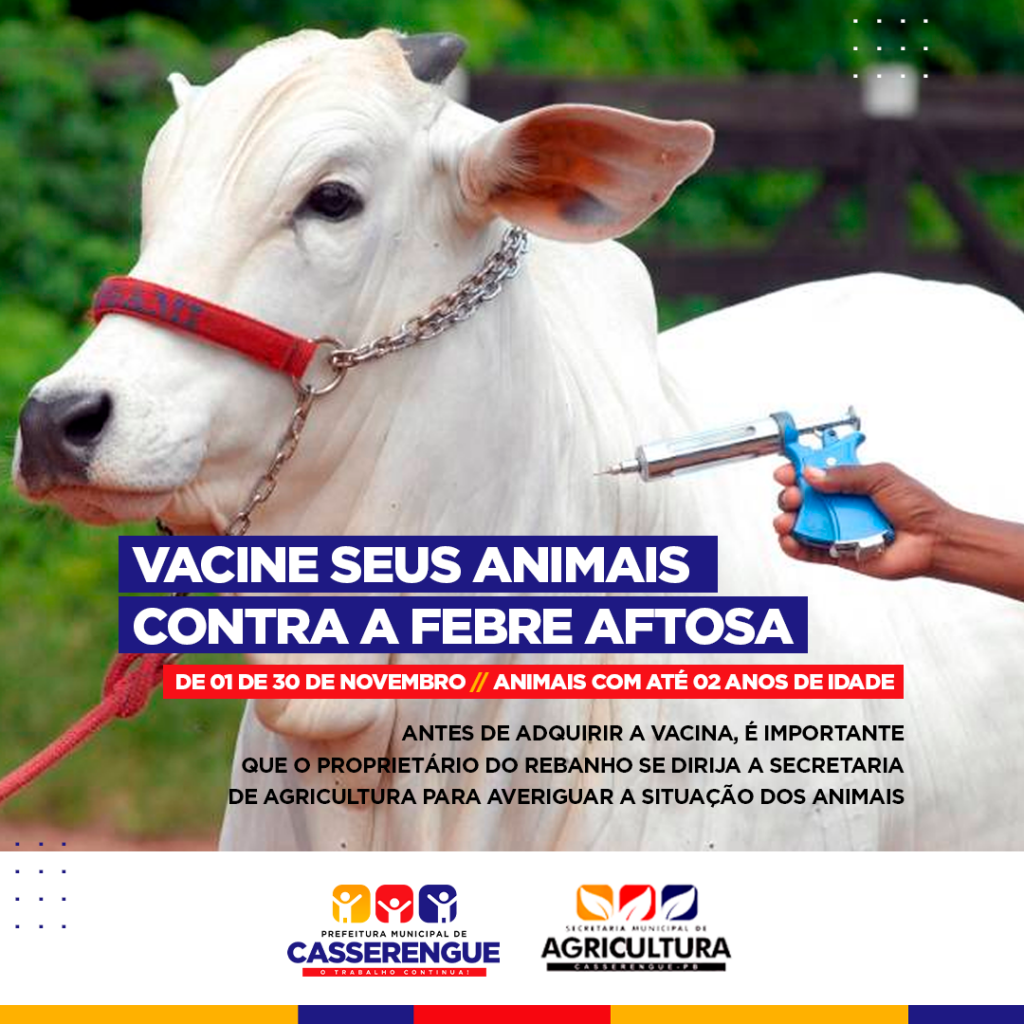 Imagem de destaque